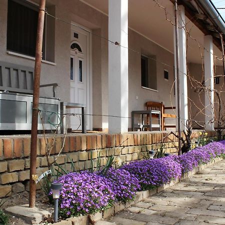 Julia Apartman Pacir 외부 사진