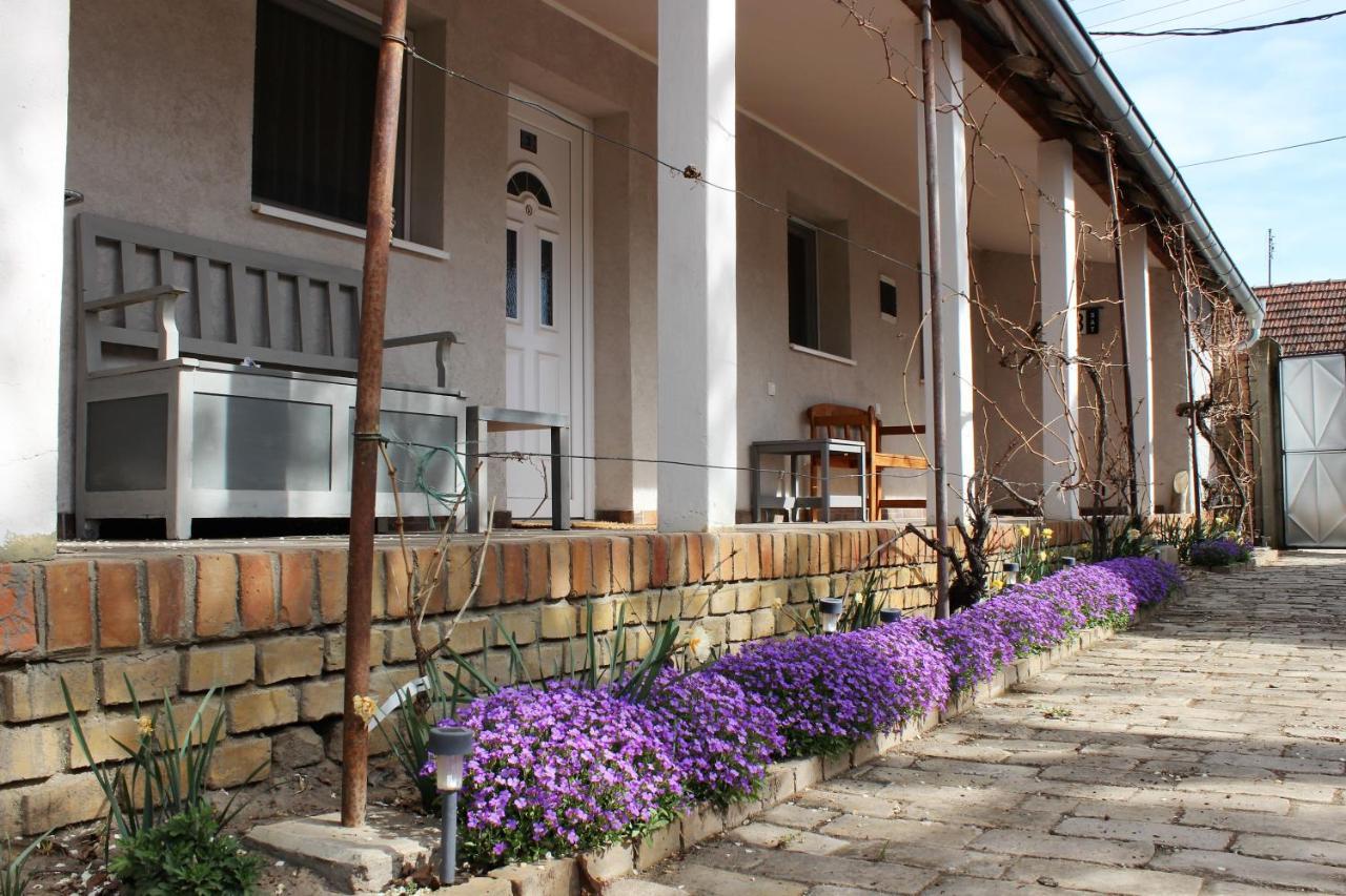 Julia Apartman Pacir 외부 사진