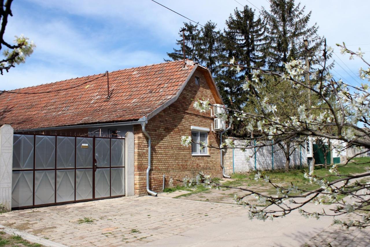 Julia Apartman Pacir 외부 사진